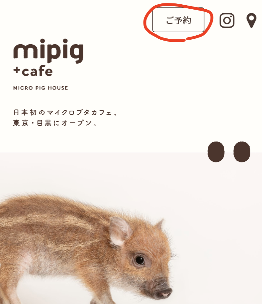 マイピッグカフェの予約の取り方手順①